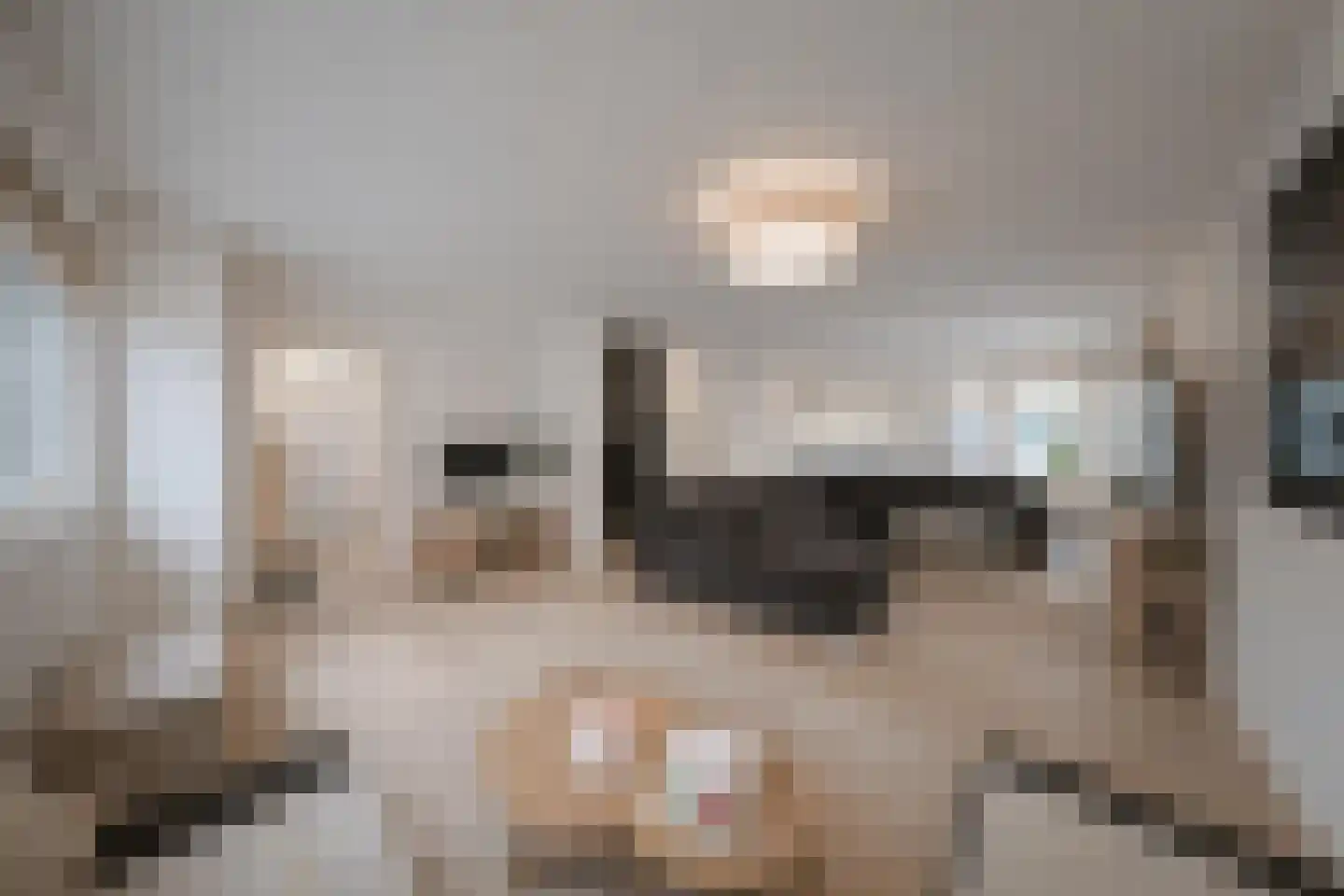Leerlooierstraat 49 Oss thumbnail 15