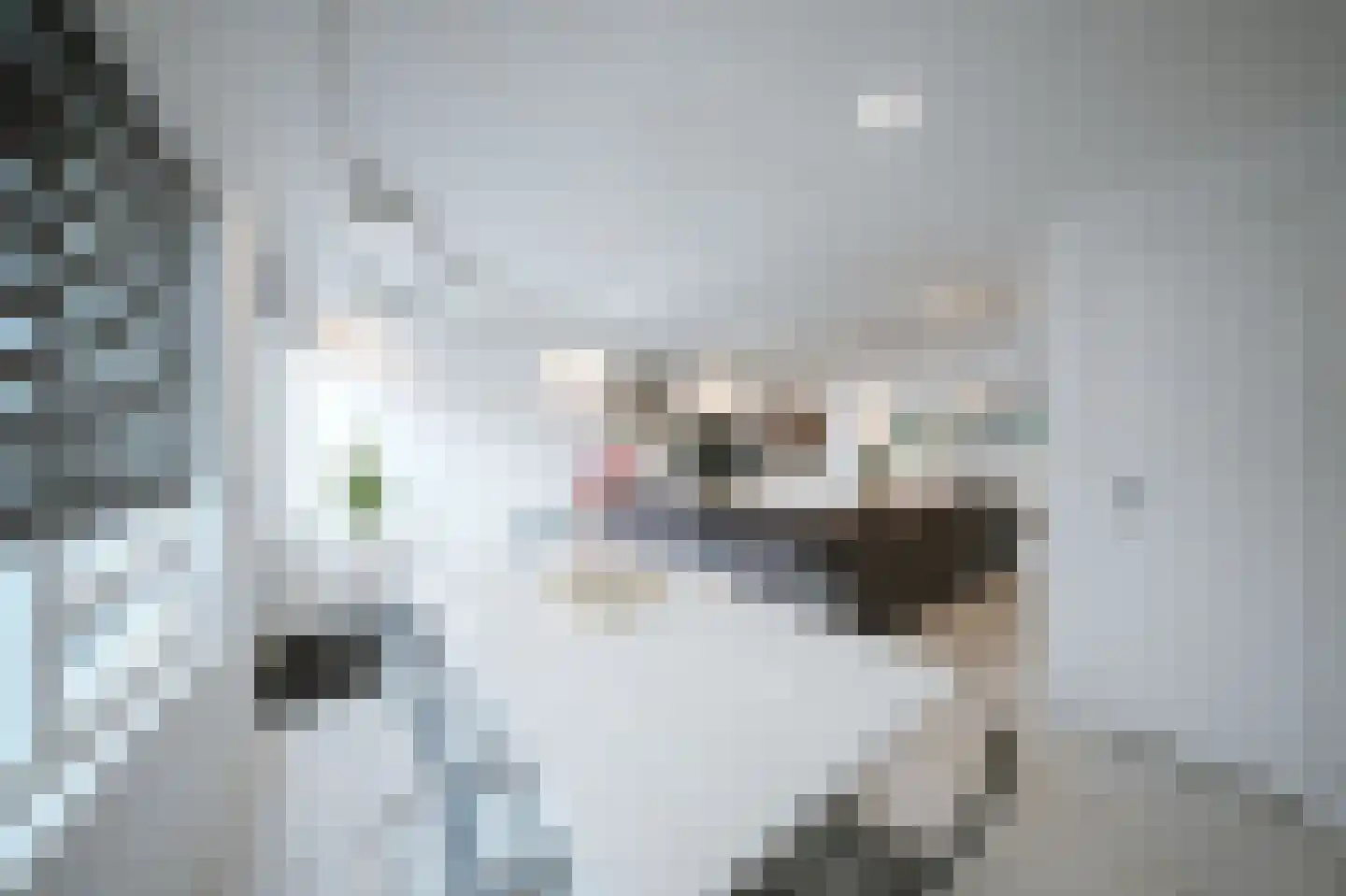 Leerlooierstraat 49 Oss thumbnail 16