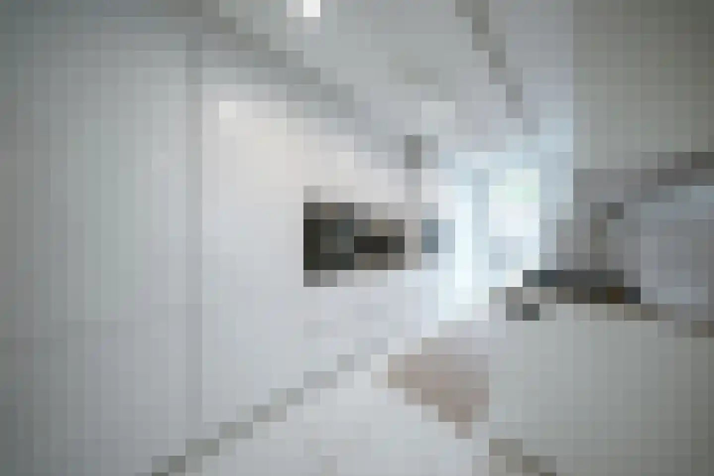 Leerlooierstraat 49 Oss thumbnail 17