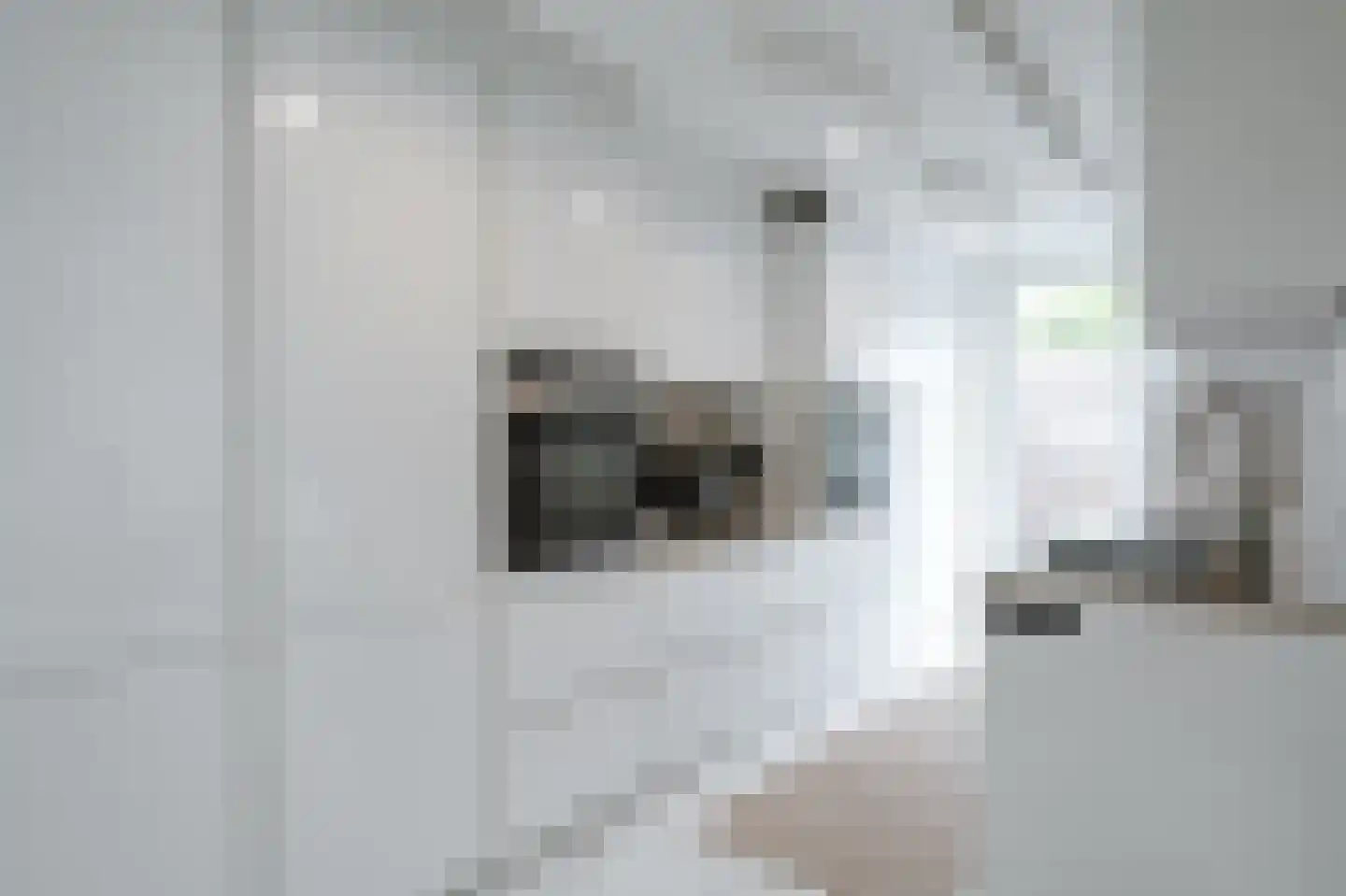Leerlooierstraat 49 Oss thumbnail 18