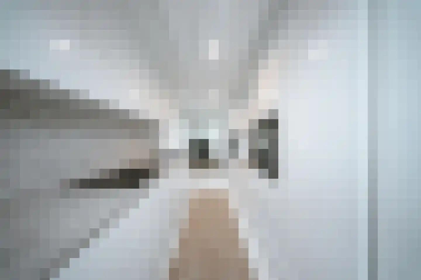 Leerlooierstraat 49 Oss thumbnail 19