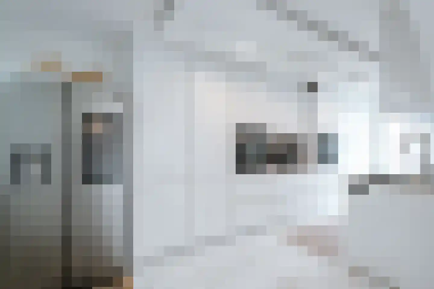 Leerlooierstraat 49 Oss thumbnail 21