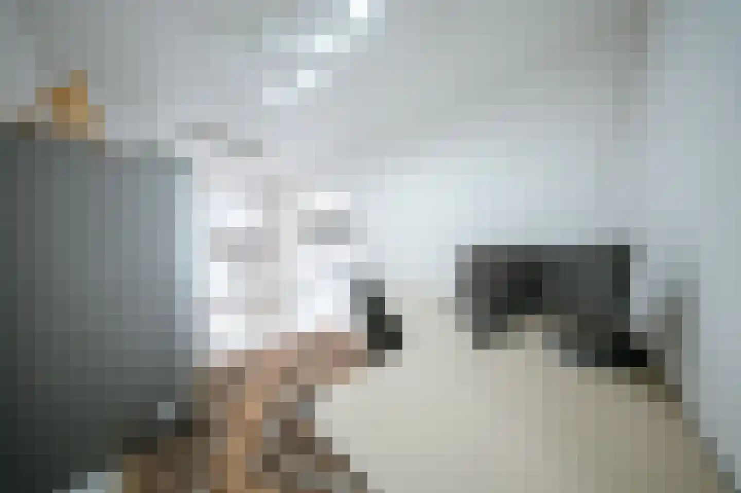 Leerlooierstraat 49 Oss thumbnail 23