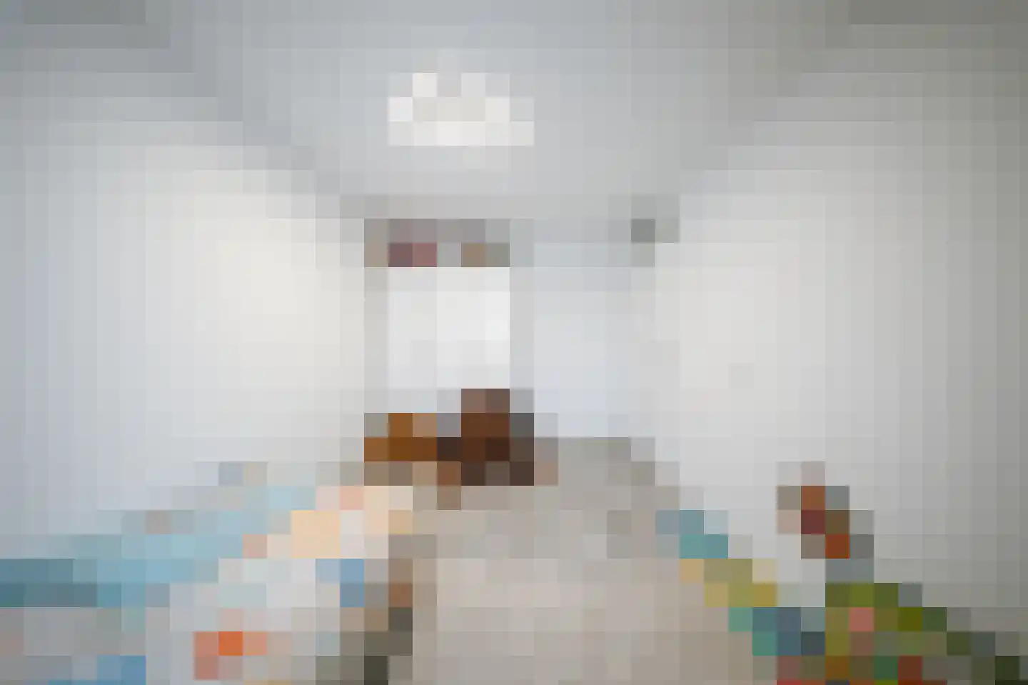 Leerlooierstraat 49 Oss thumbnail 26