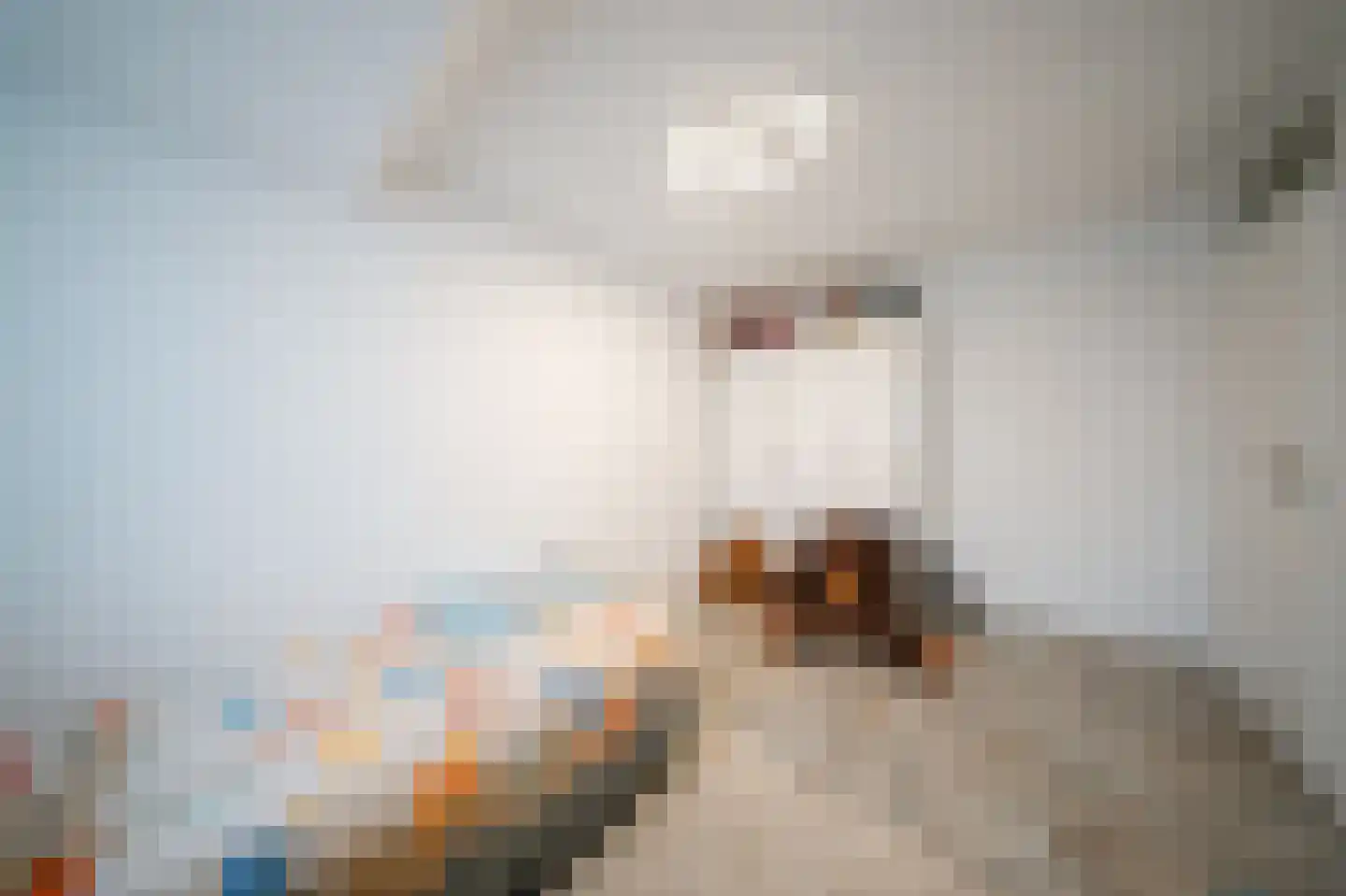 Leerlooierstraat 49 Oss thumbnail 27