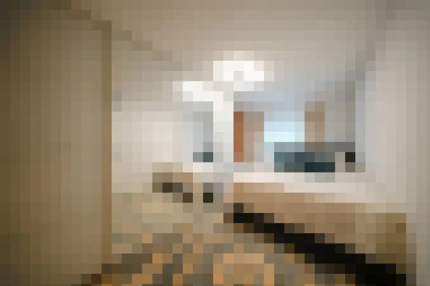 Leerlooierstraat 49 Oss thumbnail 32