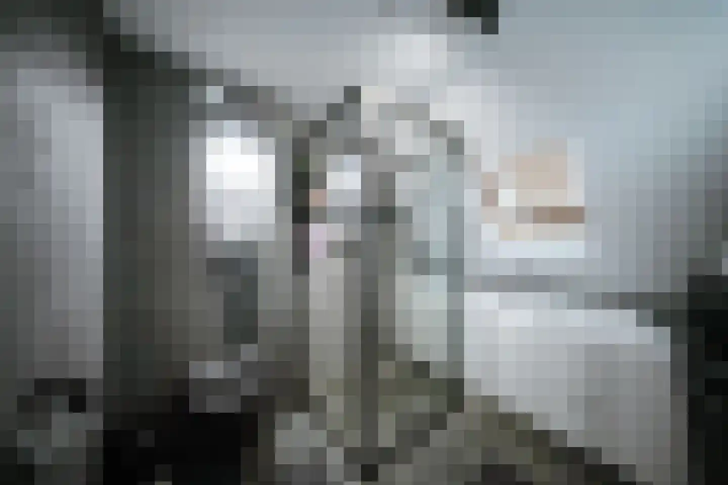 Leerlooierstraat 49 Oss thumbnail 34