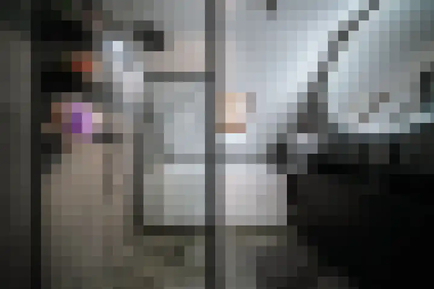 Leerlooierstraat 49 Oss thumbnail 35