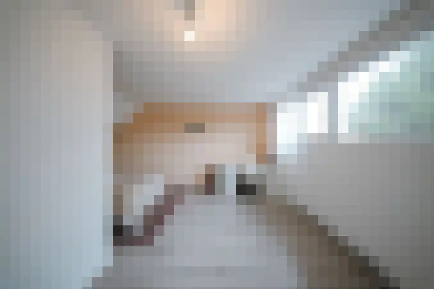 Leerlooierstraat 49 Oss thumbnail 37