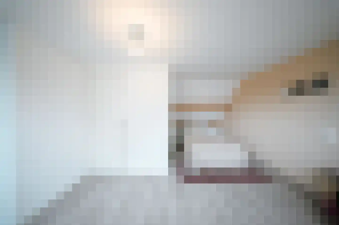 Leerlooierstraat 49 Oss thumbnail 39