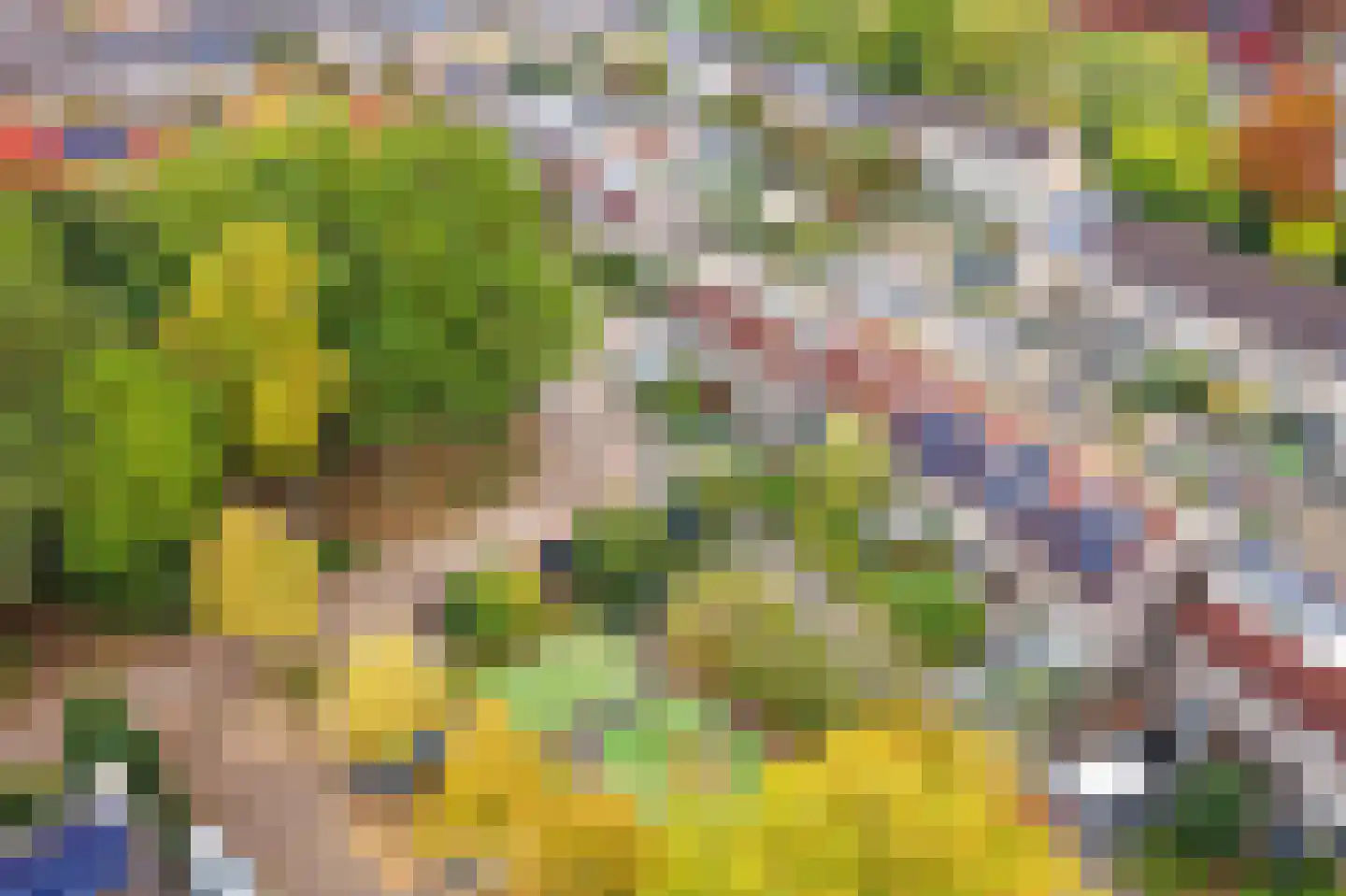 Leerlooierstraat 49 Oss thumbnail 4