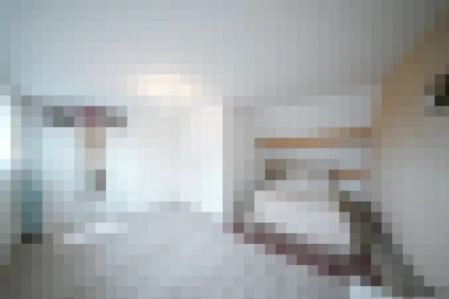 Leerlooierstraat 49 Oss thumbnail 40