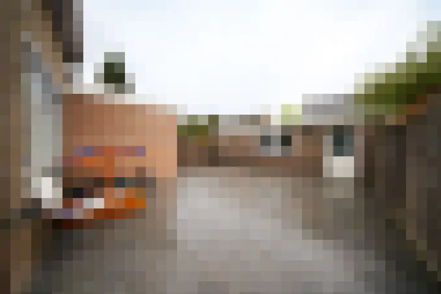 Leerlooierstraat 49 Oss thumbnail 41