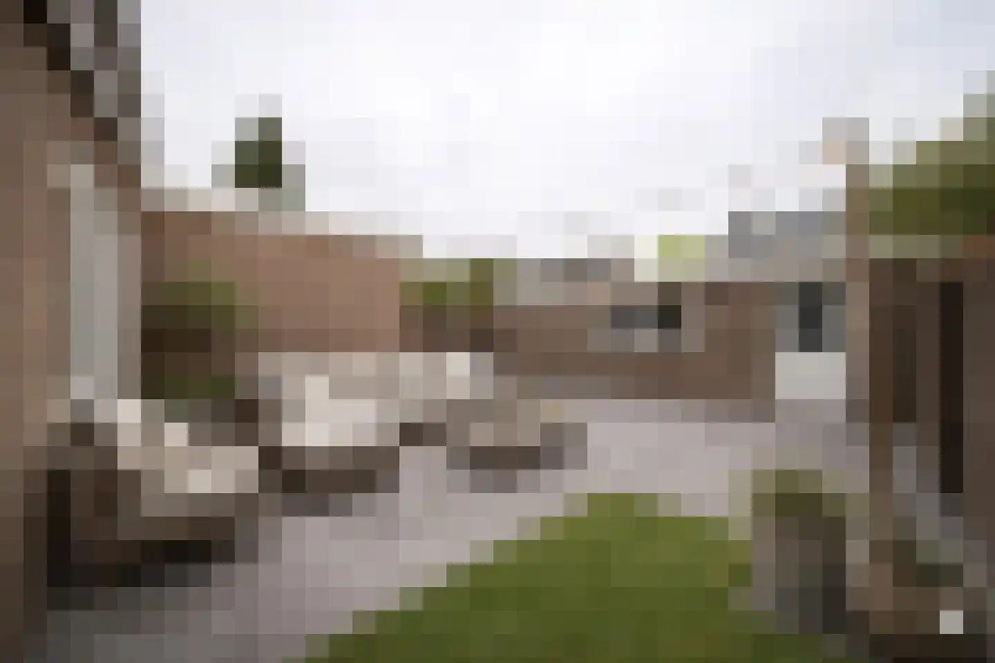 Leerlooierstraat 49 Oss thumbnail 46