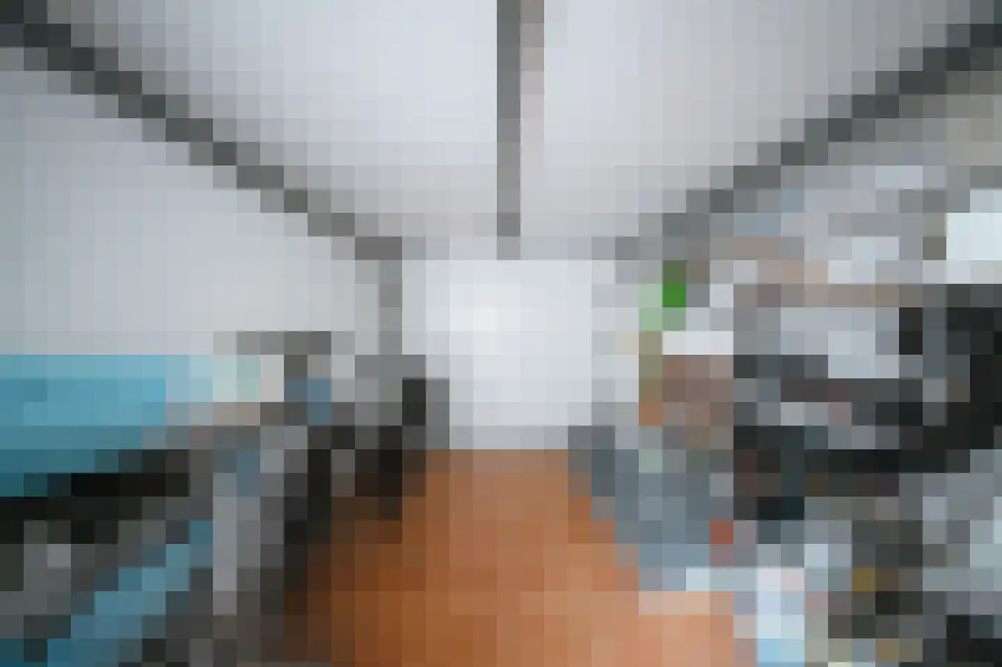 Leerlooierstraat 49 Oss thumbnail 48