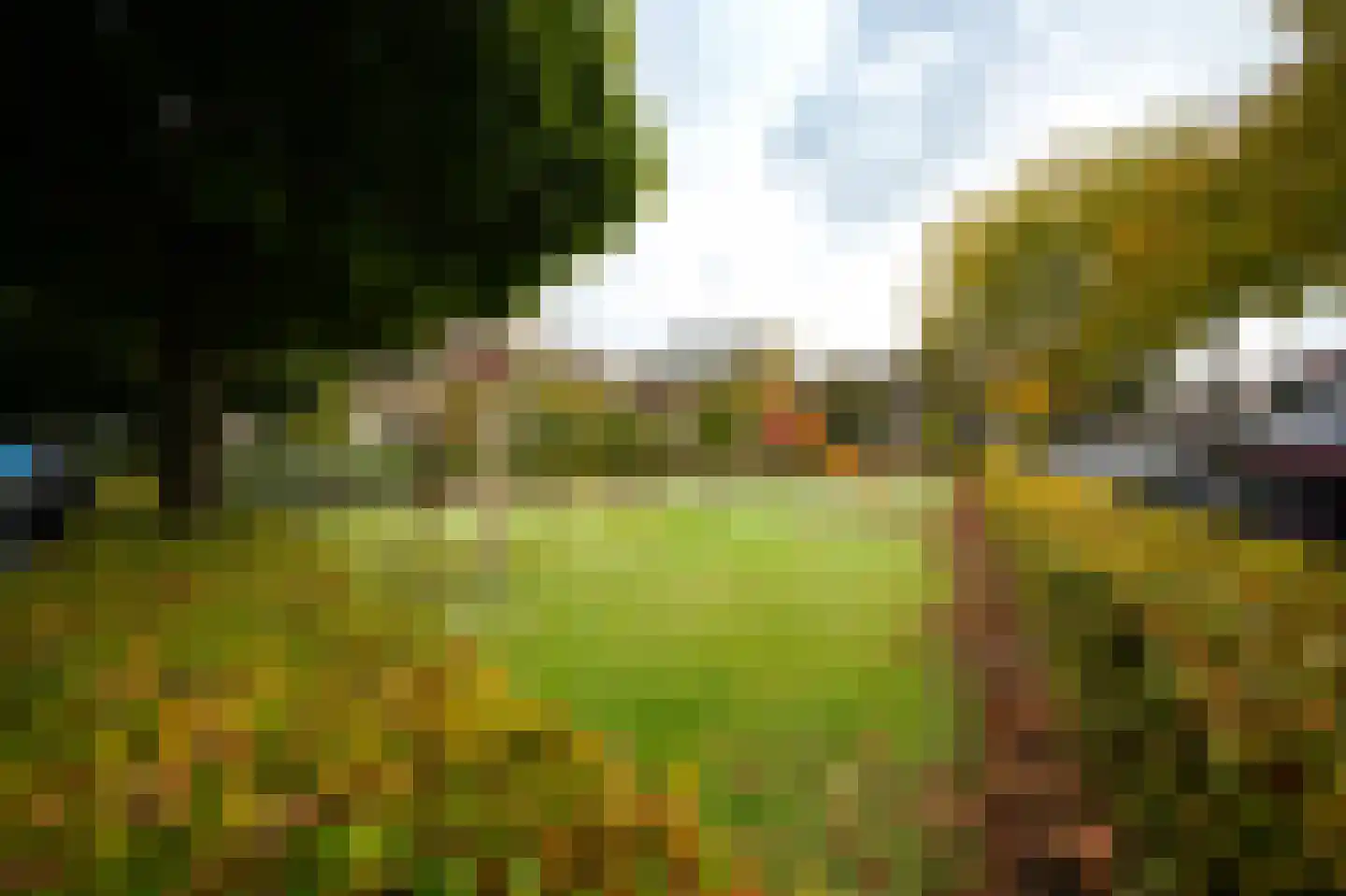 Leerlooierstraat 49 Oss thumbnail 53