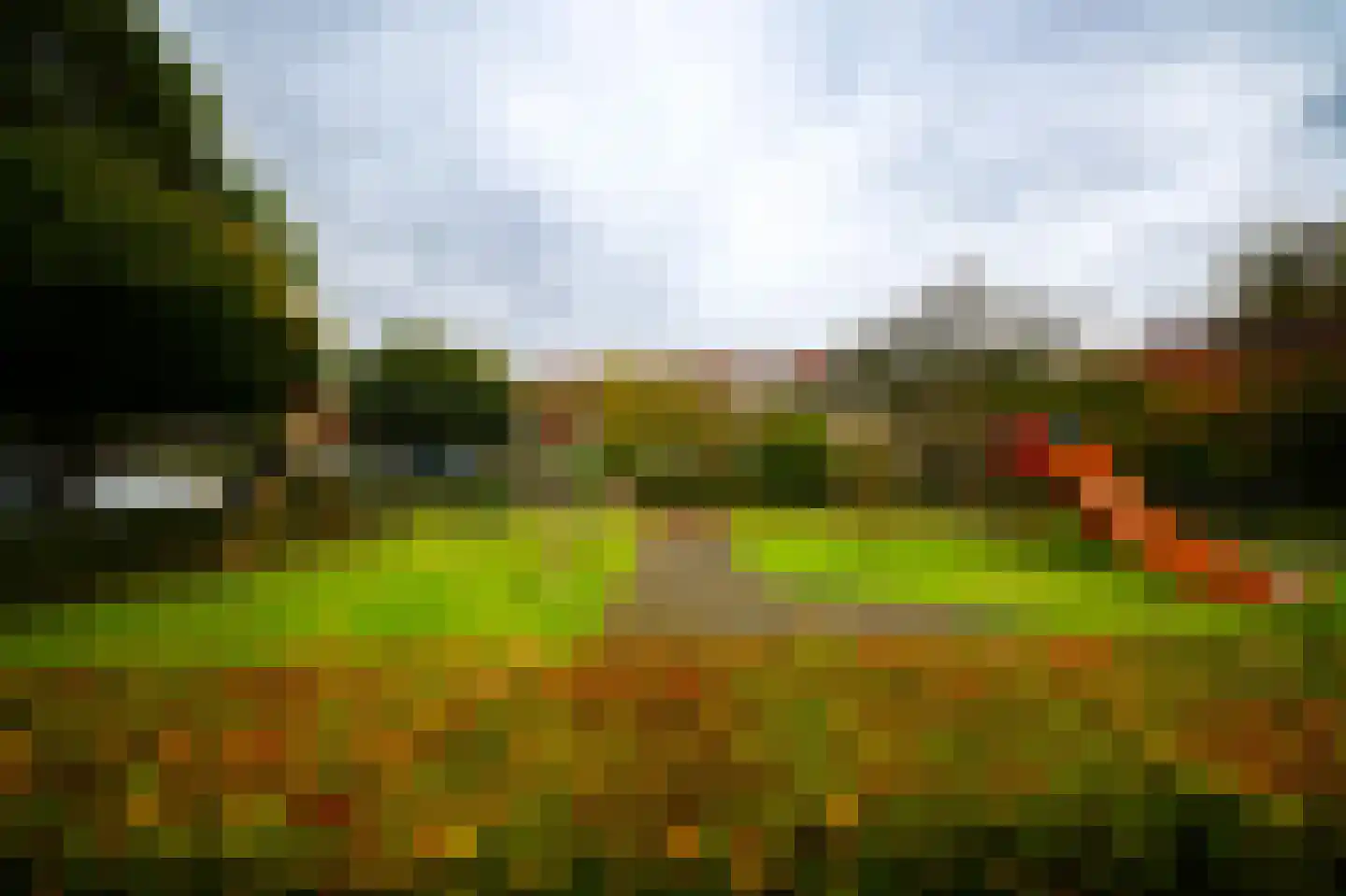 Leerlooierstraat 49 Oss thumbnail 54