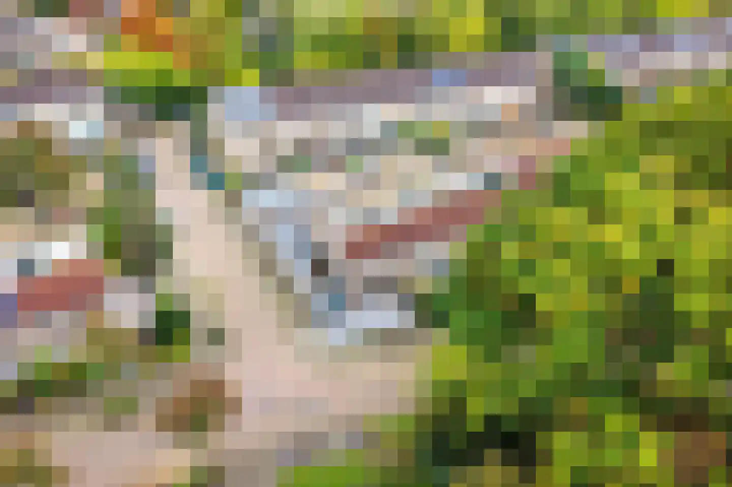 Leerlooierstraat 49 Oss thumbnail 55