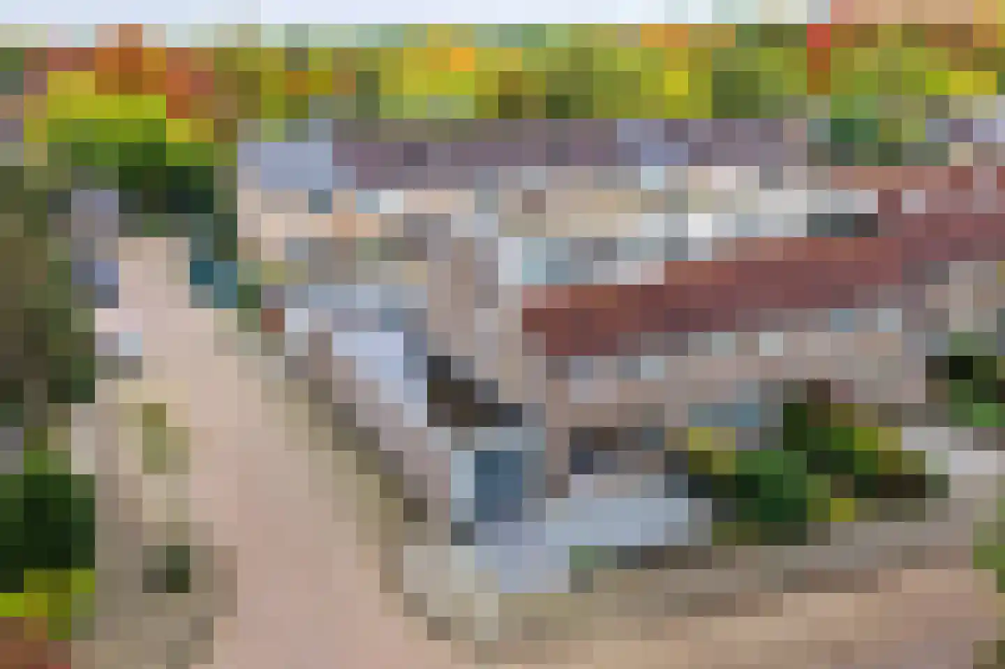 Leerlooierstraat 49 Oss thumbnail 56