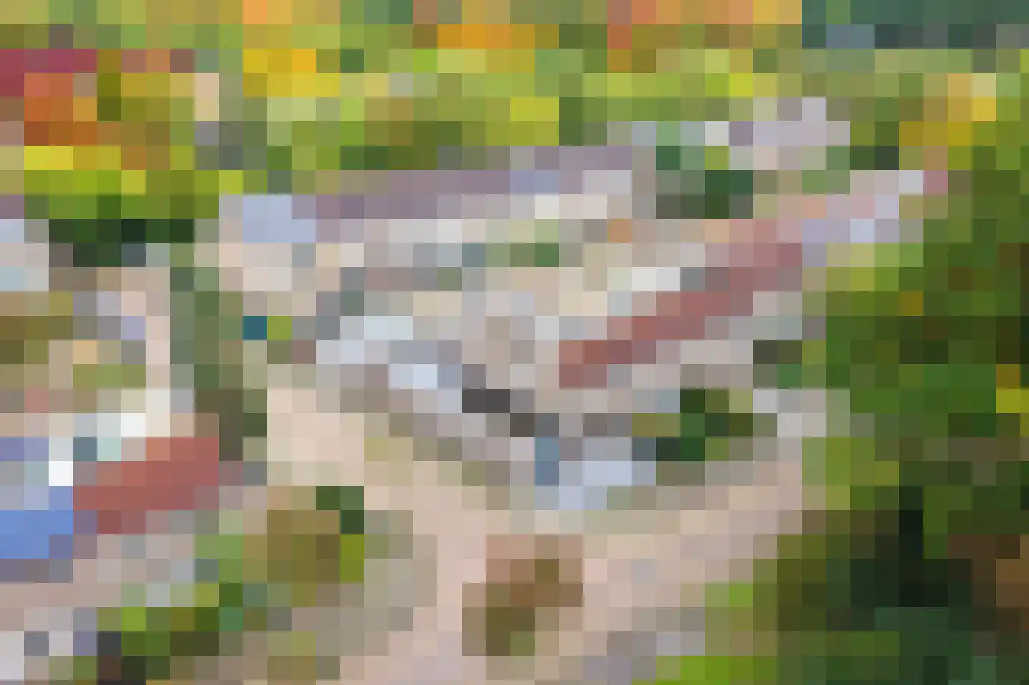 Leerlooierstraat 49 Oss thumbnail 57