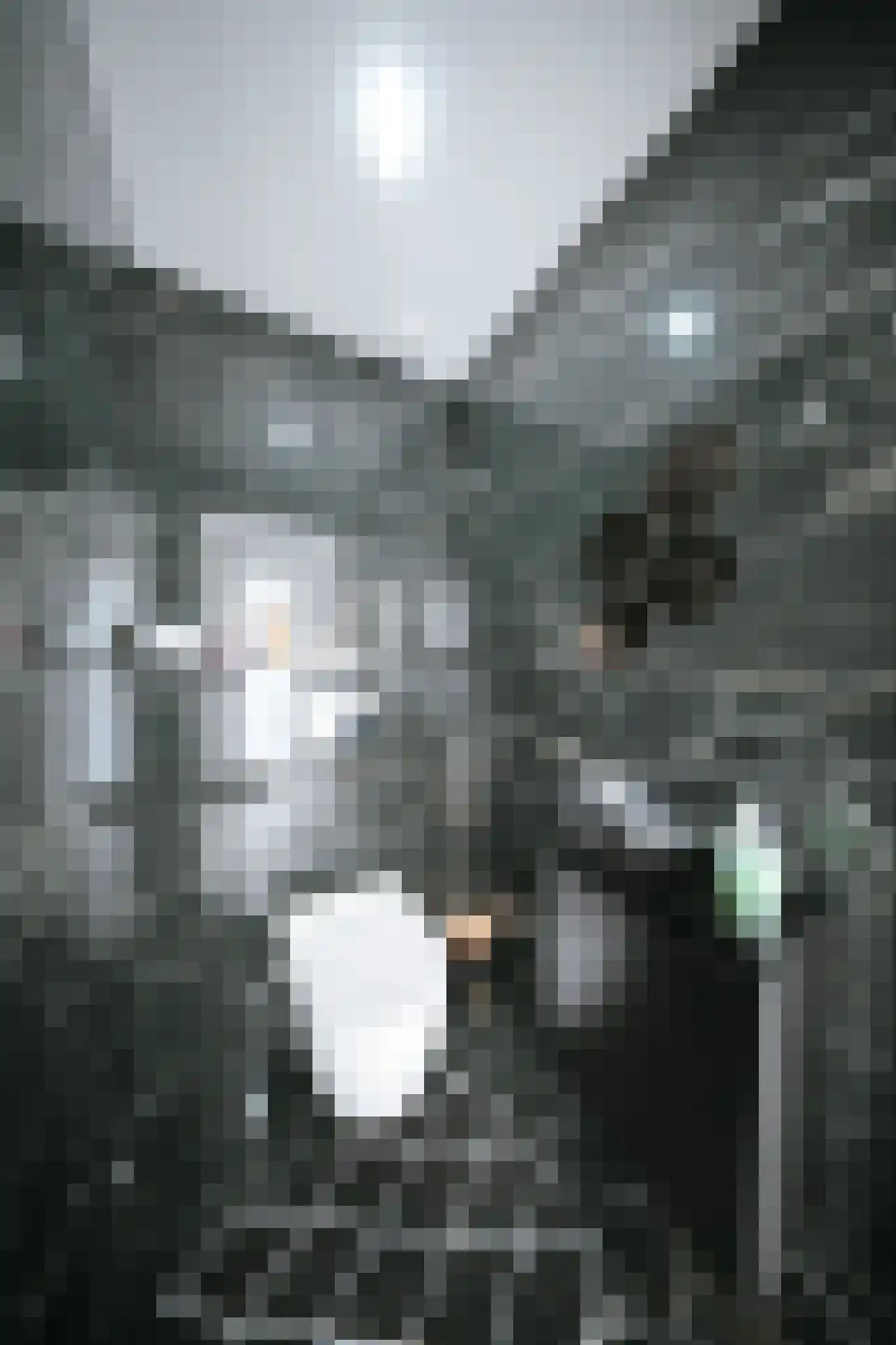Leerlooierstraat 49 Oss thumbnail 6