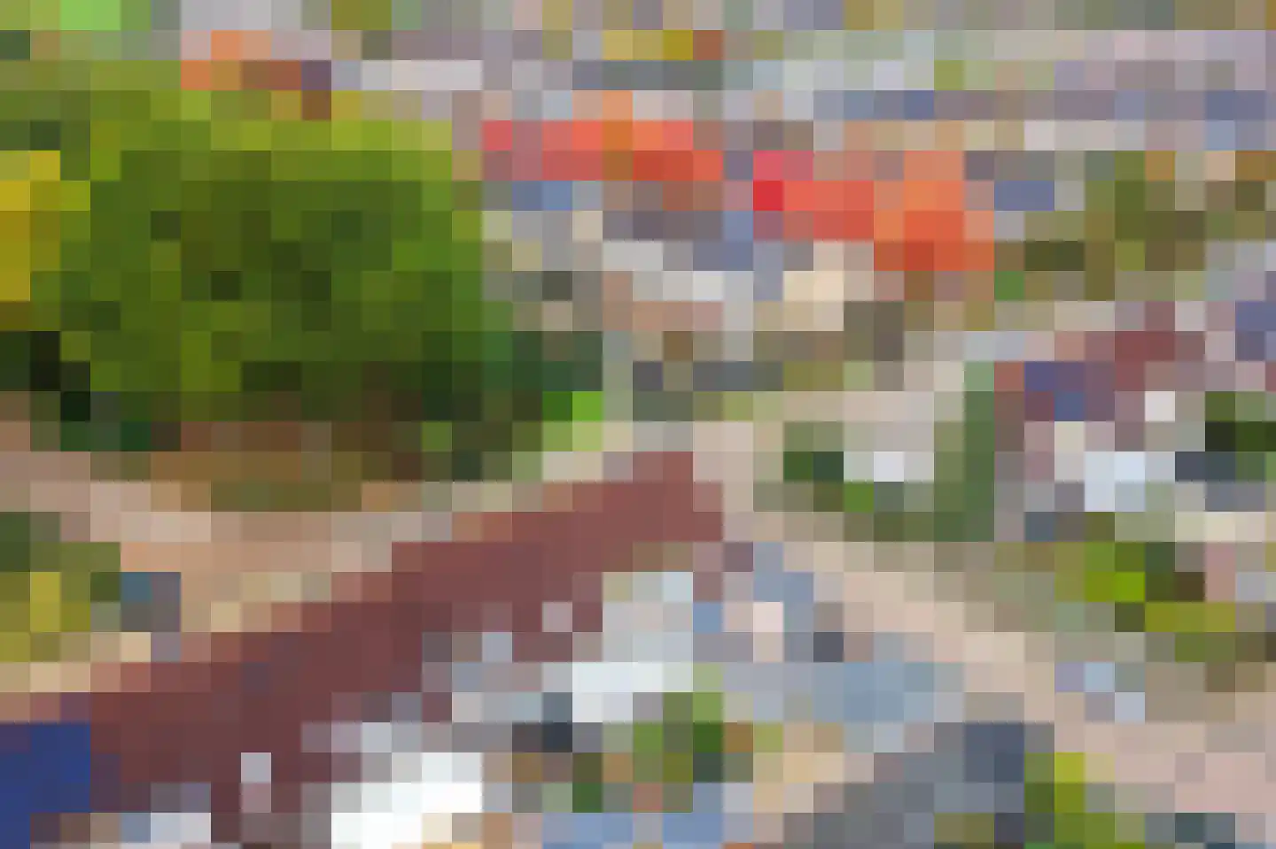Leerlooierstraat 49 Oss thumbnail 60