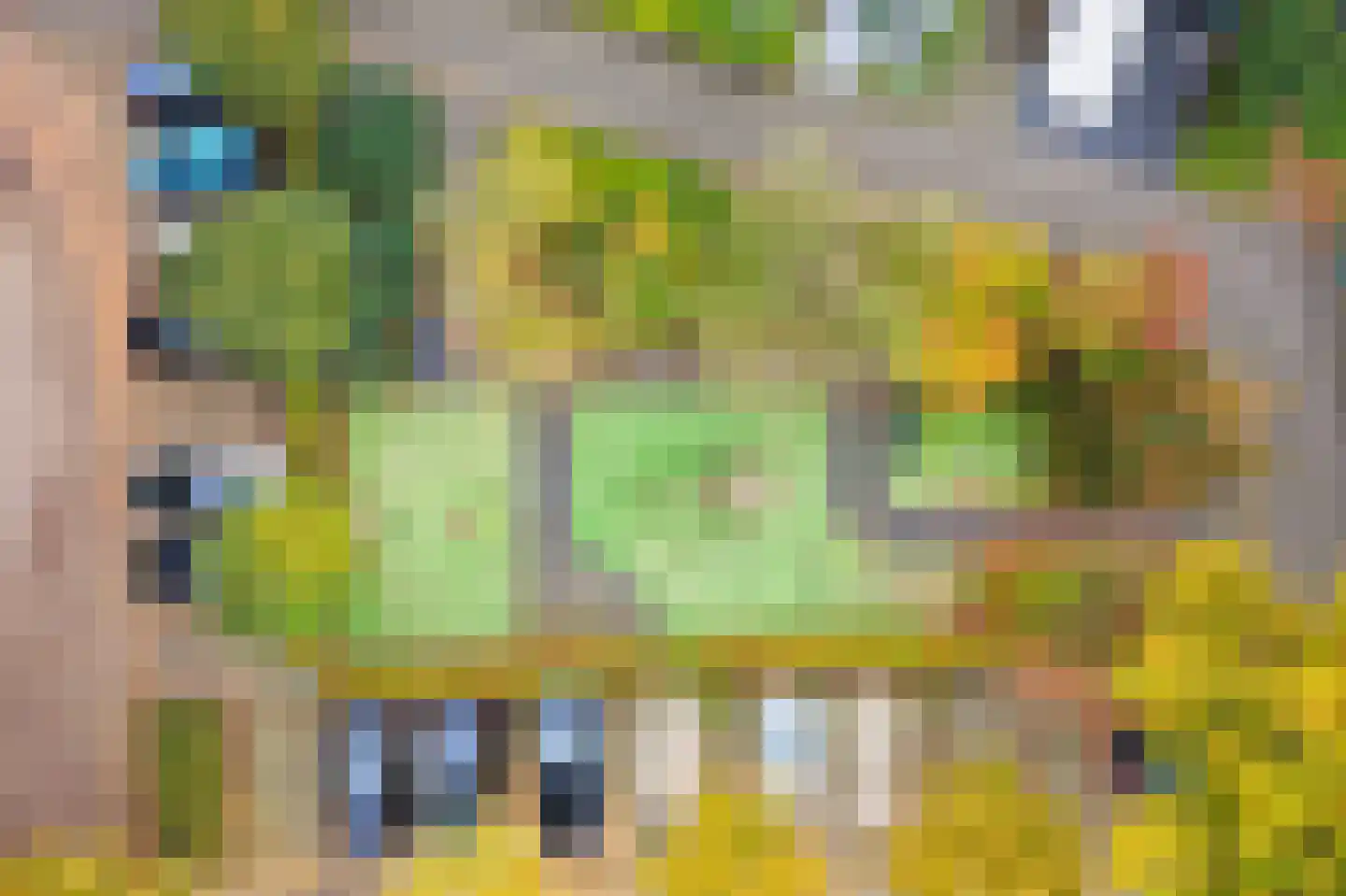 Leerlooierstraat 49 Oss thumbnail 63
