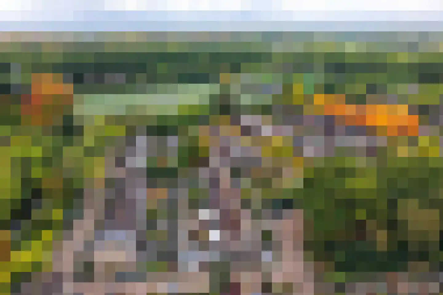 Leerlooierstraat 49 Oss thumbnail 65