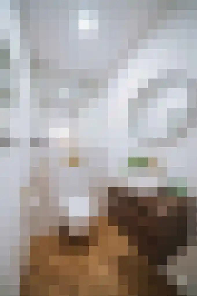 Leerlooierstraat 49 Oss thumbnail 7