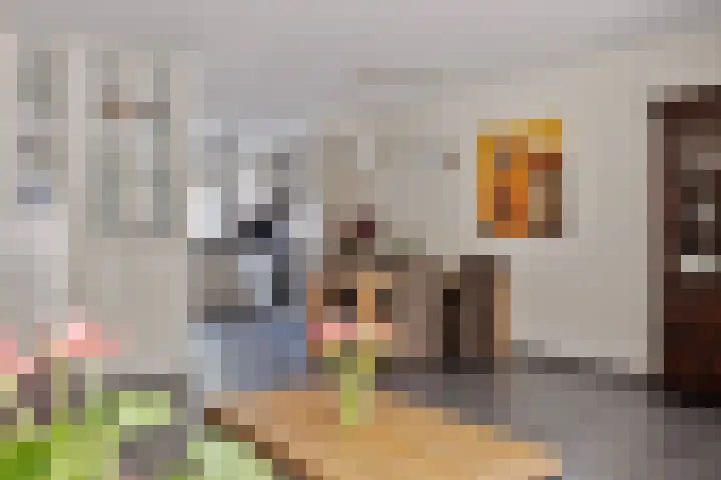 Leerlooierstraat 55 Oss thumbnail 15