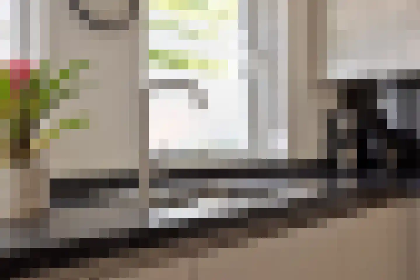 Leerlooierstraat 55 Oss thumbnail 19