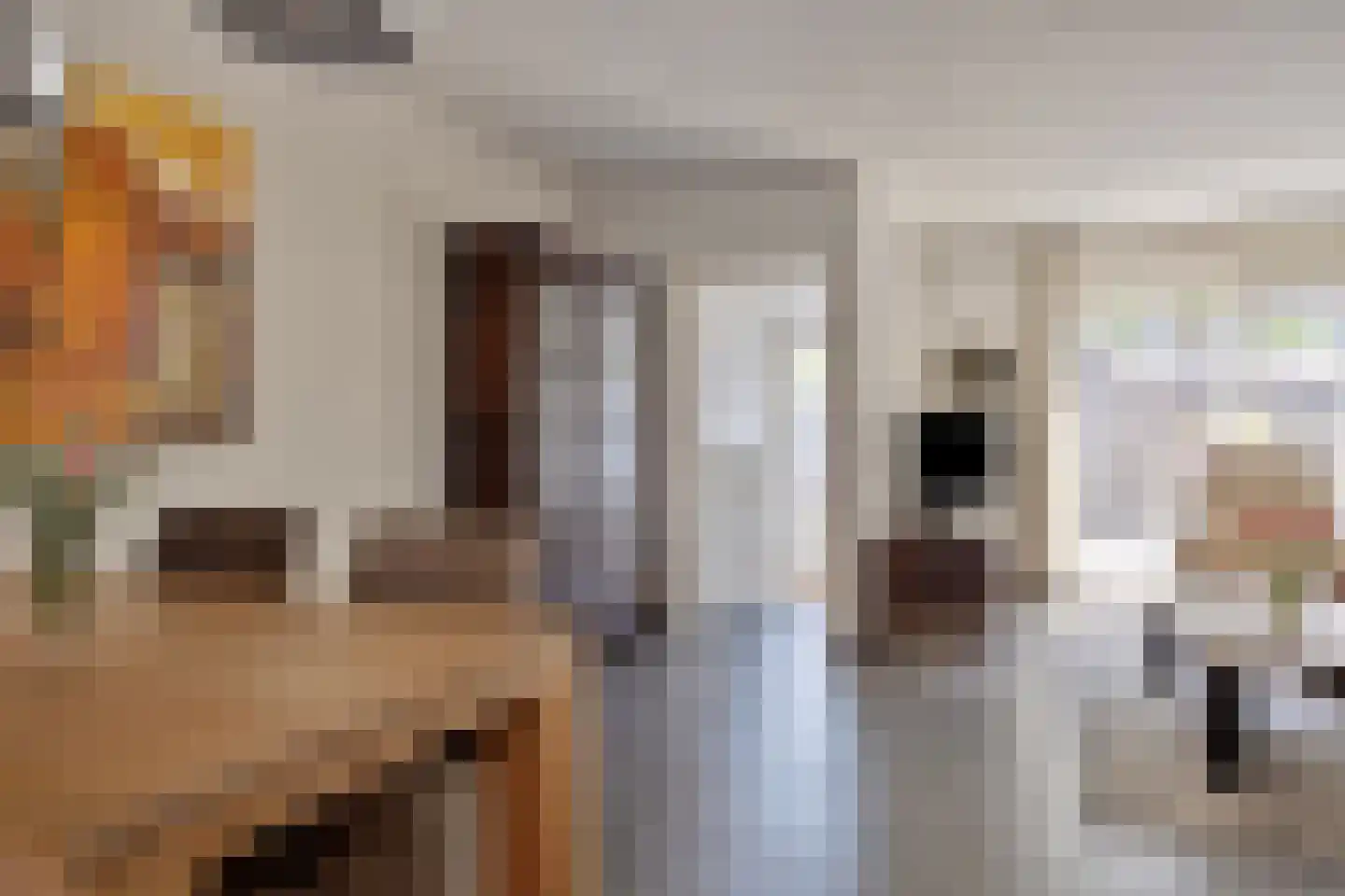 Leerlooierstraat 55 Oss thumbnail 21