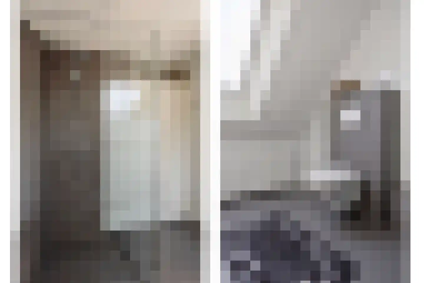Leerlooierstraat 55 Oss thumbnail 25