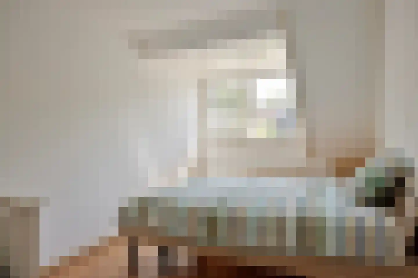 Leerlooierstraat 55 Oss thumbnail 29