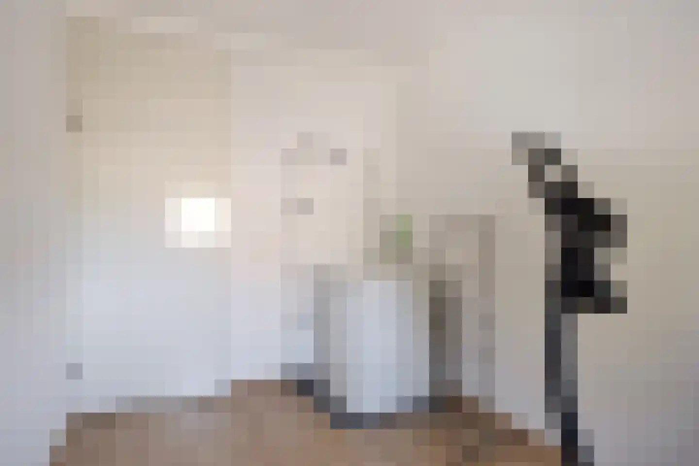 Leerlooierstraat 55 Oss thumbnail 32