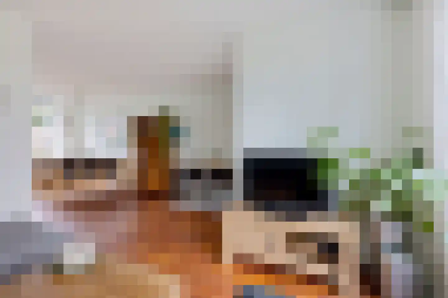 Leerlooierstraat 69 Oss thumbnail 11