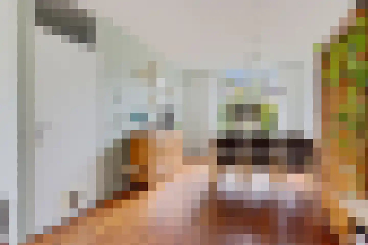 Leerlooierstraat 69 Oss thumbnail 14