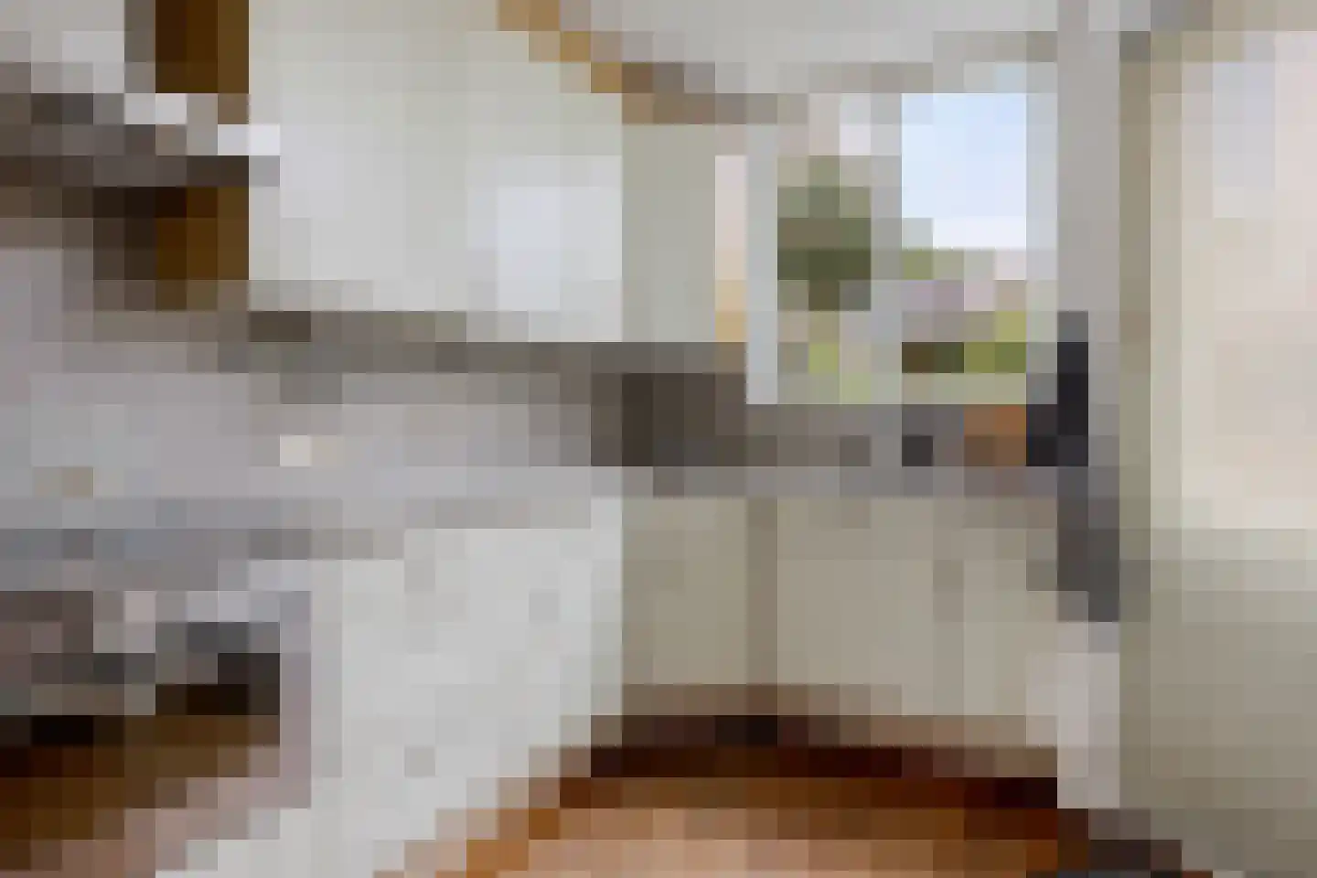 Leerlooierstraat 69 Oss thumbnail 16