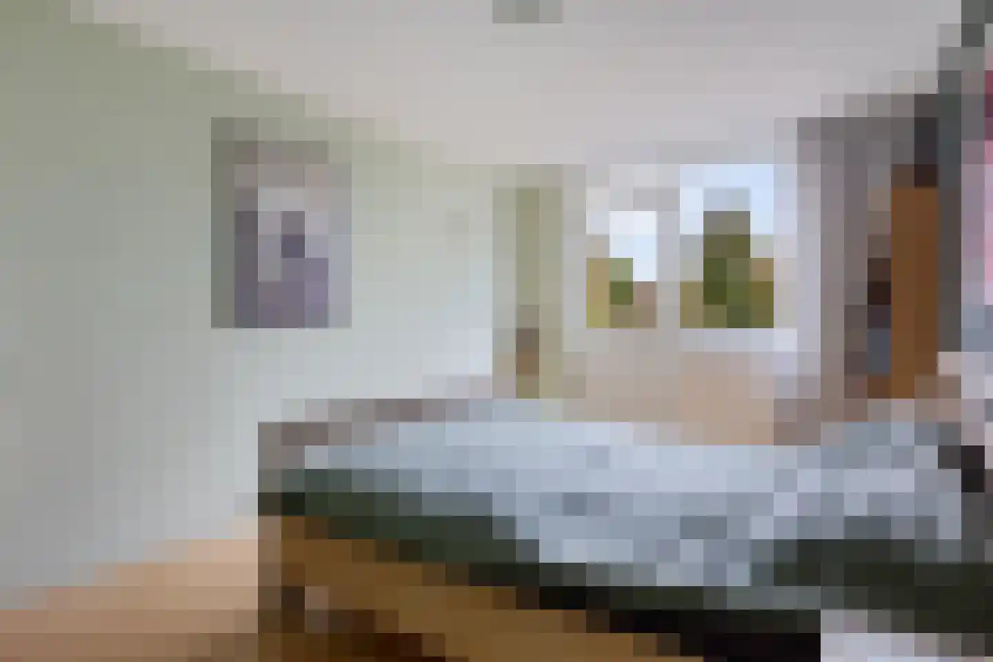 Leerlooierstraat 69 Oss thumbnail 22