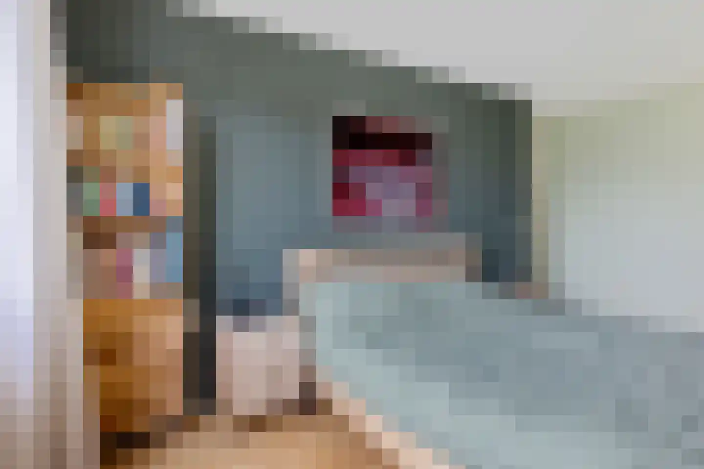 Leerlooierstraat 69 Oss thumbnail 23