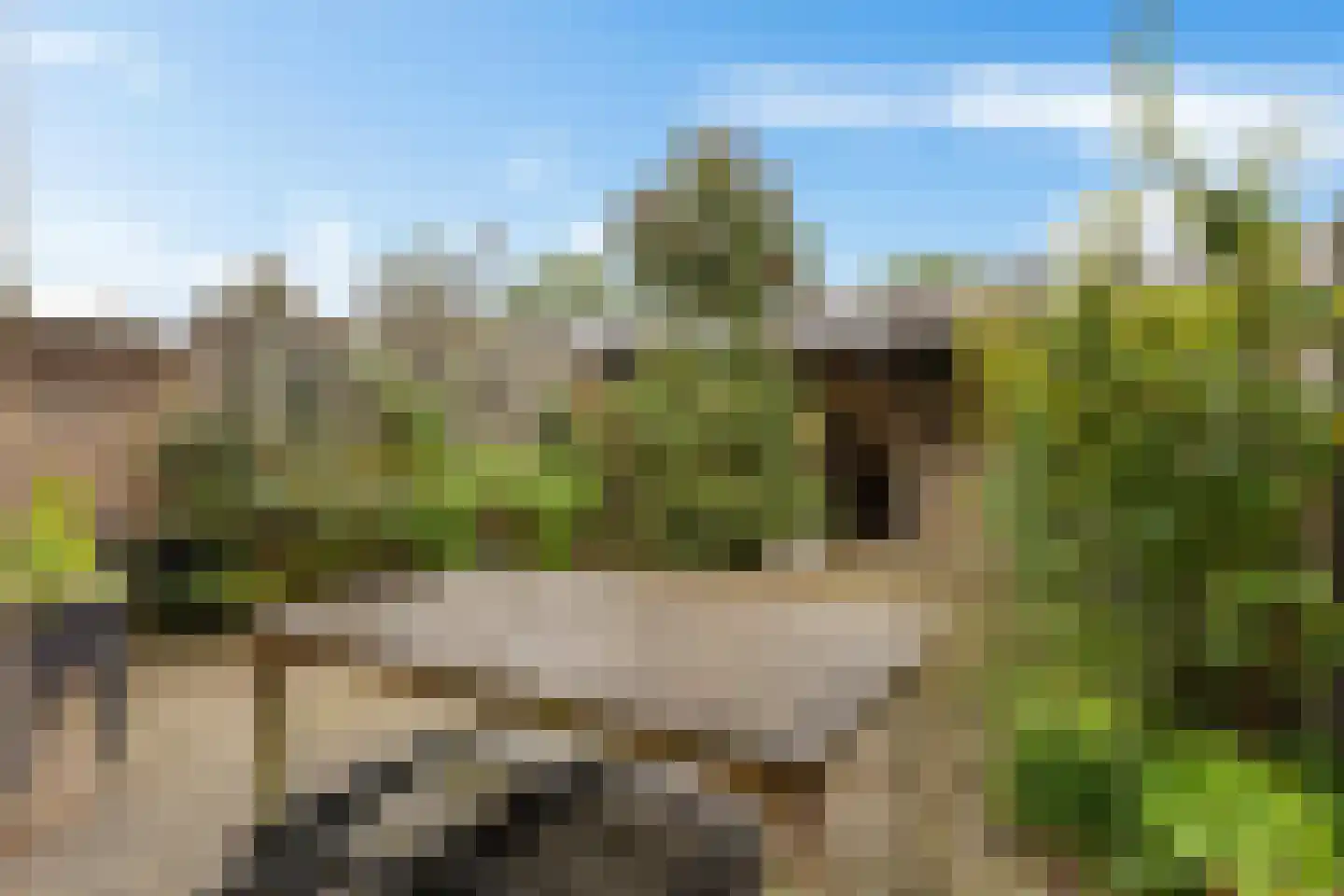 Leerlooierstraat 69 Oss thumbnail 35