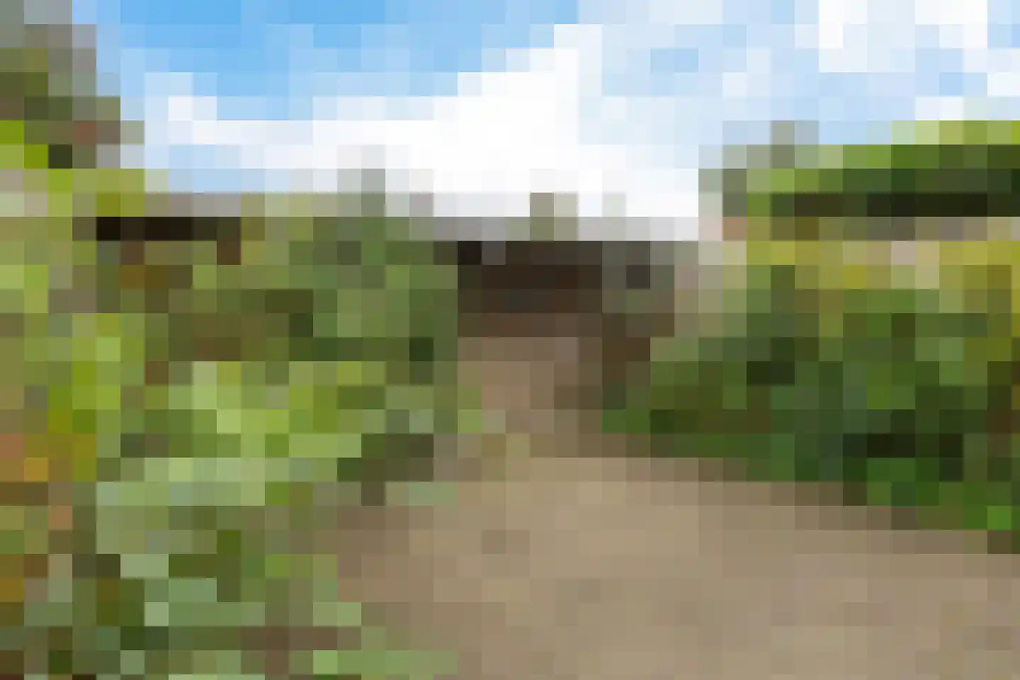 Leerlooierstraat 69 Oss thumbnail 36
