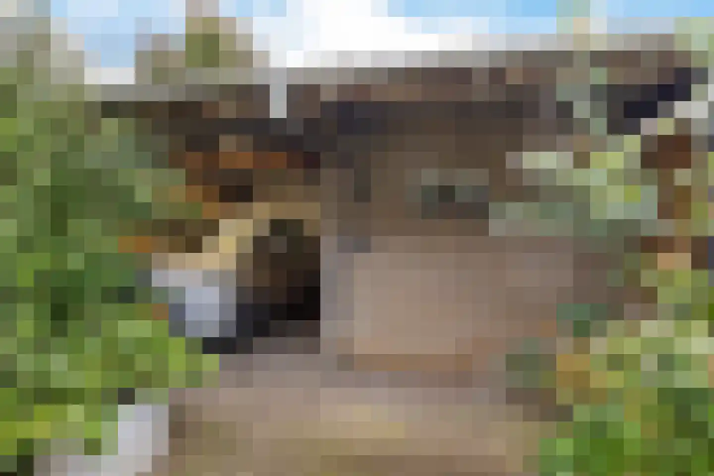 Leerlooierstraat 69 Oss thumbnail 37