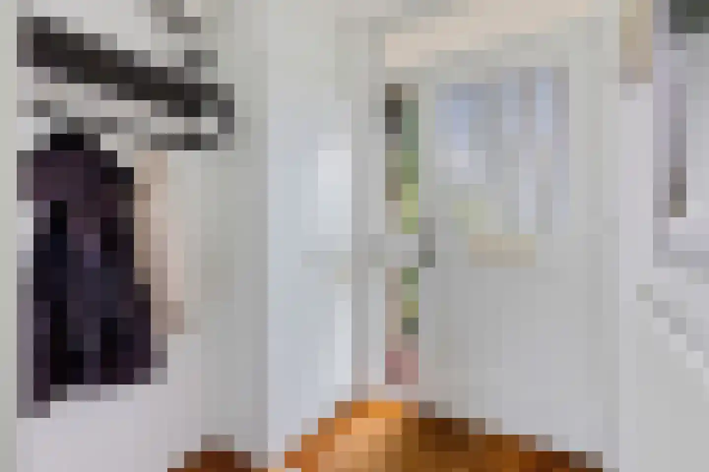 Leerlooierstraat 69 Oss thumbnail 7