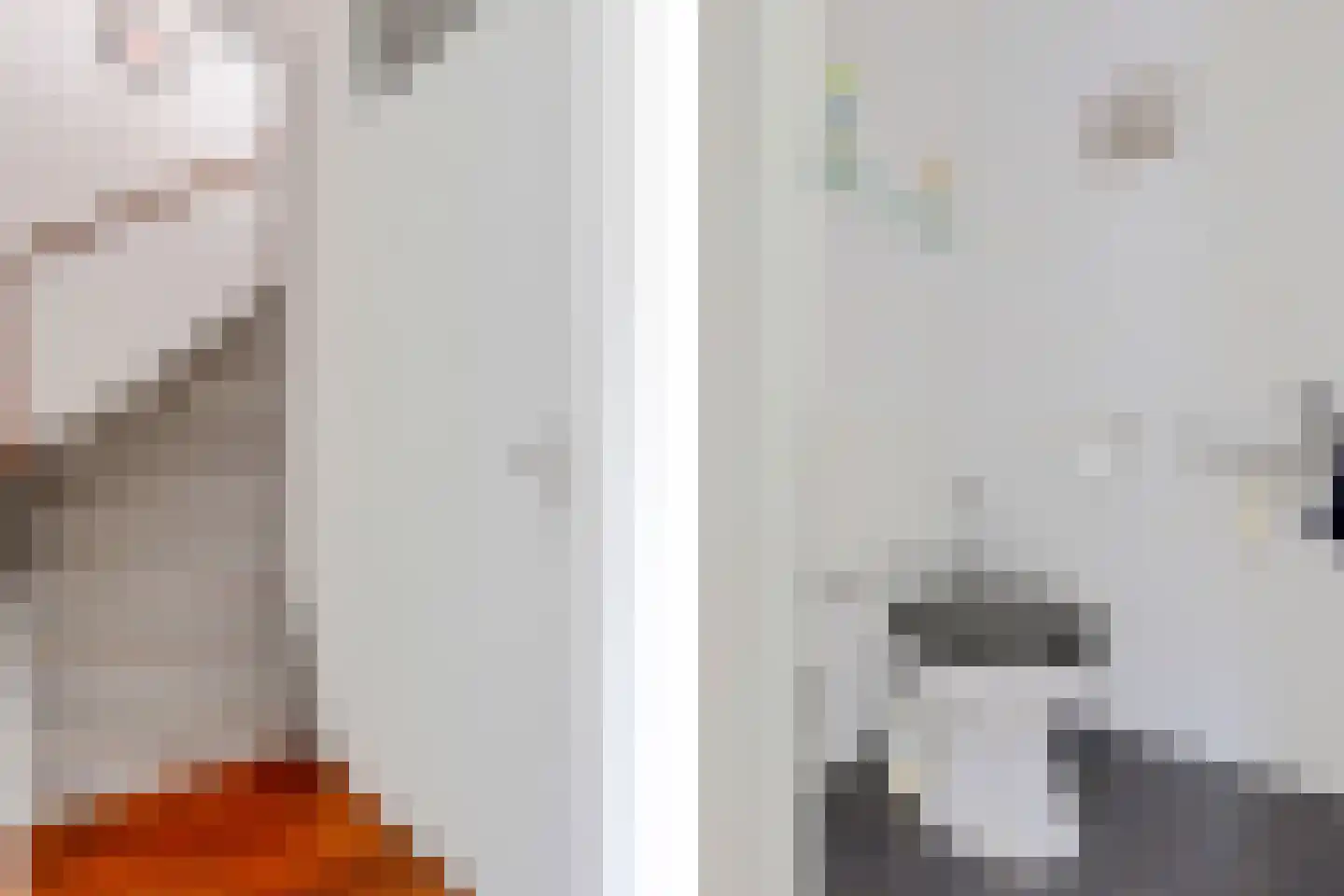 Leerlooierstraat 69 Oss thumbnail 8