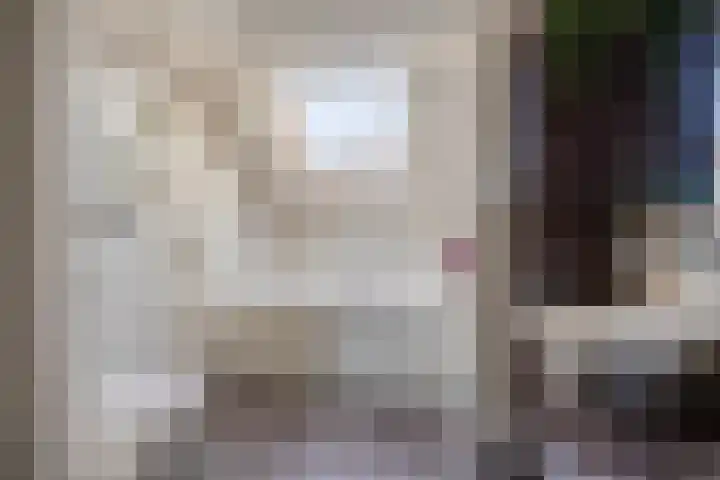 Leerlooierstraat 73 Oss thumbnail 25