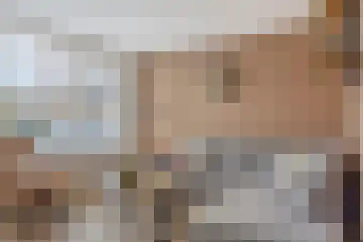 Leerlooierstraat 73 Oss thumbnail 6