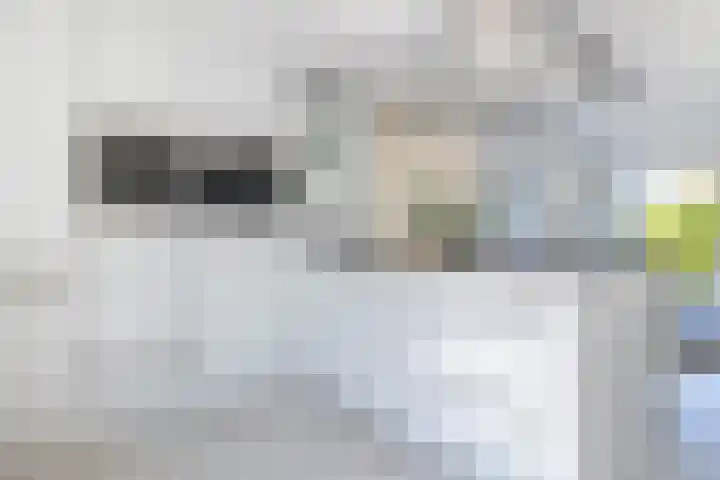 Leermos 10 Reeuwijk thumbnail 11