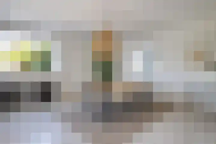 Leermos 10 Reeuwijk thumbnail 15