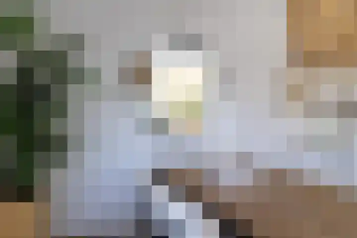 Leermos 10 Reeuwijk thumbnail 17